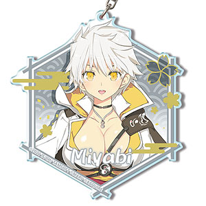 閃乱忍忍忍者大戦ネプテューヌ -少女達の響艶- ビッグアクリルキーホルダー 12(雅緋)