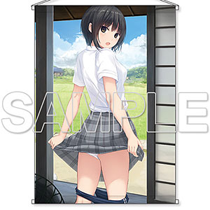 珈琲貴族描き下ろし 青山さんの夏涼みタペストリー[B2]