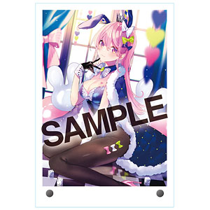 いろバニー アクリルミニボード15さいね