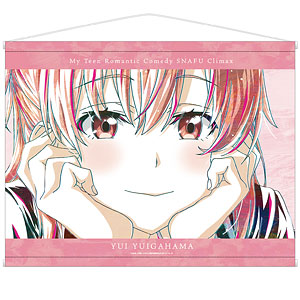 やはり俺の青春ラブコメはまちがっている。完 一色いろは Ani-Art 第2