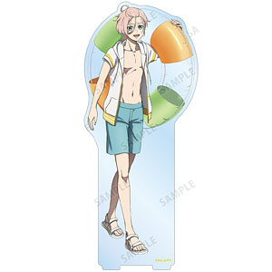 TVアニメ『ヴィジュアルプリズン』 描き下ろしイラスト ロビン・ラフィット 水着ver. BIGアクリルスタンド