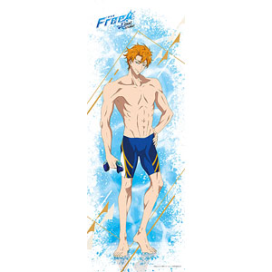 限定販売】劇場版 Free！ -the Final Stroke- ライトシリーズ