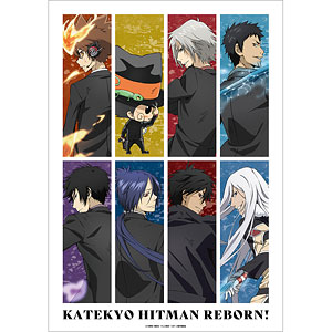 家庭教師ヒットマンREBORN！ 描き下ろしイラスト 集合 戦う背中ver. A3マット加工ポスター