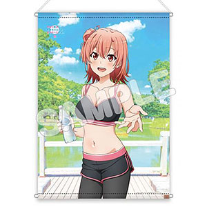 やはり俺の青春ラブコメはまちがっている。完 B2タペストリー