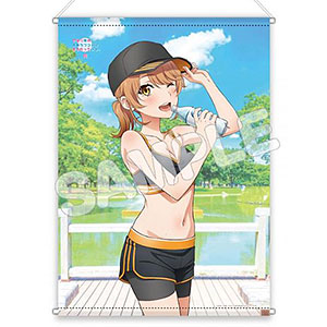 やはり俺の青春ラブコメはまちがっている。完 B2タペストリー