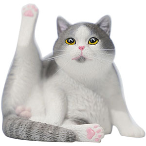 1/6 ぐーたら 猫 7.0 A2