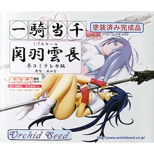 一騎当千 関羽雲長 冬コミテレカ版 あみあみ限定カラー 1/7 完成品フィギュア