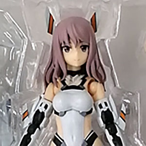 新品・未開封　セット売り　アリス・ギア・アイギス　フィギュア　まとめ売り✖️40個 51rtDUUR6qL._UF894,1000_QL80_.jpg