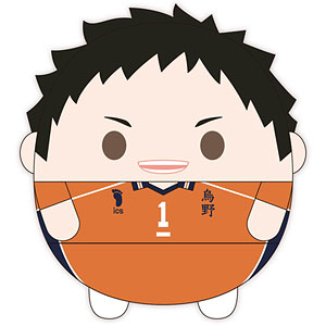 ハイキュー！！ ふわコロりんBIG7 A：澤村大地