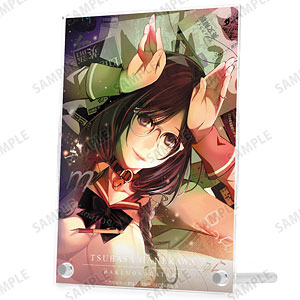 漫画『化物語』 羽川翼 3巻表紙イラスト ダブルアクリルパネル