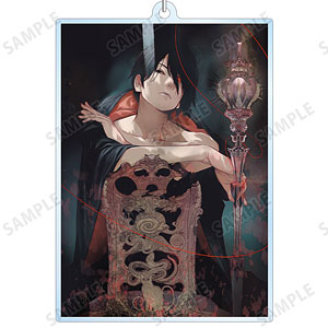 化物語　非売品アクリルブロック　羽川翼&キスショット　週刊少年マガジン懸賞品 Amazon.co.jp: 化物語 アクリルブロック 羽川翼キスショット
