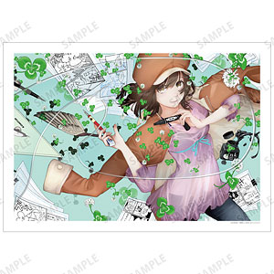 漫画『化物語』 戦場ヶ原ひたぎ 特装版1巻表紙イラスト A3マット