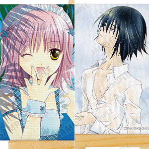 しゅごキャラ！ トレーディングミニキャンバスボード 10個入りBOX