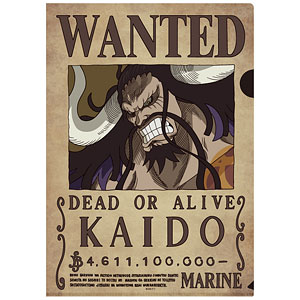 ONE PIECE 手配書トリックファイル Vol.2 カイドウ
