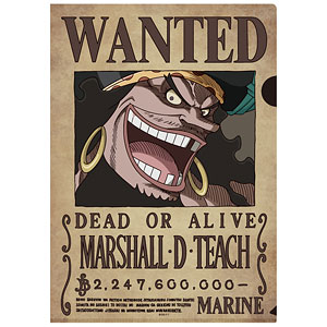 ONE PIECE 手配書トリックファイル Vol.2 黒ひげ