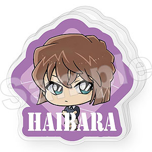 むむこれ 名探偵コナン アクリルクリップ 灰原哀