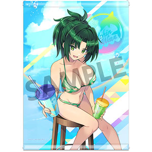 ドルフィンウェーブ B2タペストリー 咲宮入華(水着)[ホビー ドルフィンウェーブ B2タペストリー 咲宮入華(水着)[ホビー