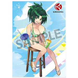 ドルフィンウェーブ ビジュアルアクリルプレート 陽南杏里(水着)