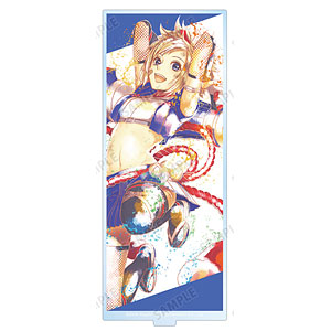 コンパス 戦闘摂理解析システム リリカ Ani-Art aqua label BIG