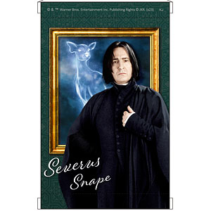 ハリーポッターのタペストリー aybtqirk7x_0.jpg