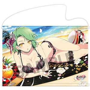 シノビマスター 閃乱カグラ NEW LINK B2タペストリー(雪不帰/81