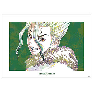 Dr.STONE 氷月 Ani-Art 第2弾 A3マット加工ポスター[アルマビアンカ