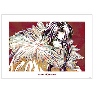 Dr.STONE 獅子王司 Ani-Art 第2弾 A3マット加工ポスター