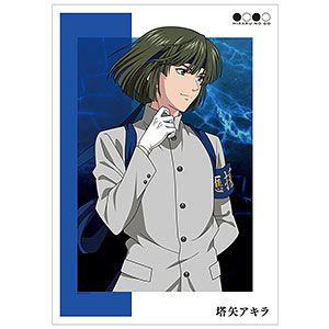 塔矢アキラ 花鳥風月　BIG アクリルスタンド ドリーム賞 検索結果]-amiami.jp-あみあみオンライン本店-