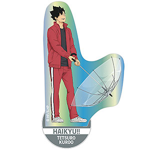 ハイキュー アニメイトポイント景品 オーロラ アクリルスタンド 日向翔陽 ハイキュー！！ オーロラアクリルスタンドrain(日向翔陽)[日本