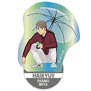 ハイキュー アニメイトポイント景品 オーロラ アクリルスタンド 日向翔陽 ハイキュー アニメイトポイント景品 オーロラ アクリルスタンド