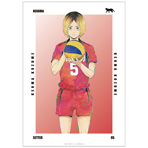 ハイキュー！！ 孤爪研磨 Ani-Art 第6弾 A3マット加工ポスター