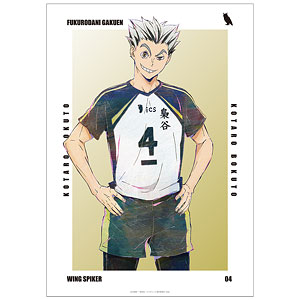 ハイキュー！！ 木兎光太郎 Ani-Art 第6弾 A3マット加工ポスター