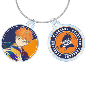 ハイキュー！！ 日向翔陽 Ani-Art 第4弾 2連ワイヤーアクリルキーホルダー