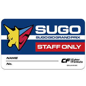 新世紀GPXサイバーフォーミュラSIN アオイZIPフォーミュラ 屋外対応