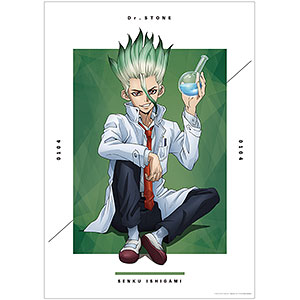 Dr.STONE 石化前 トレーディングカードステッカー 氷月 2点セット Dr.STONE 石化前 トレーディングカードステッカー 氷月 2点