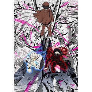 DVD 文豪ストレイドッグス 第24巻[KADOKAWA]《在庫切れ》