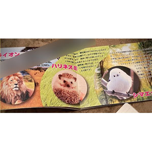 手品 メンタリストの動物図鑑