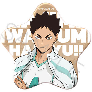 『ハイキュー！！』第7弾 星型缶バッジYH (岩泉一)