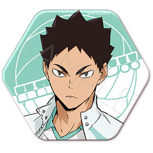 ハイキュー！！』第7弾 六角形缶バッジYN (及川＆岩泉)[シンク