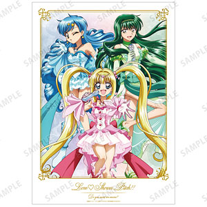 アニメ「ぴちぴちピッチ」 描き下ろしイラスト 集合 20th Anniversary ver. A3マット加工ポスター