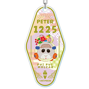 PUI PUI モルカー DRIVING SCHOOL モーテルキーホルダー ペーター