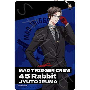 『ヒプノシスマイク-Division Rap Battle-』Rhyme Anima ＋ パスケース E(入間銃兎)