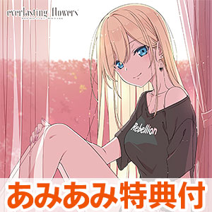 あみあみ限定特典】【特典】Nintendo Switch everlasting