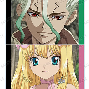 TVアニメ「Dr.STONE」 トレーディング場面写アクリルカード 9個入りBOX