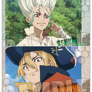 コレクションカード Dr.STONE 10パック入りBOX