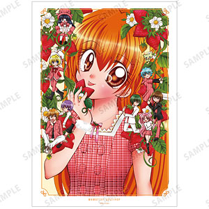 検索結果]-amiami.jp-あみあみオンライン本店-