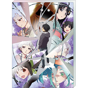〈物語〉シリーズ ノーブルアート 続・終物語