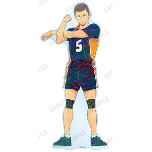 ハイキュー！！ 田中龍之介 Ani-Art 第4弾 特大アクリルスタンド