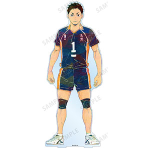 ハイキュー！！ 澤村大地 Ani-Art 第4弾 特大アクリルスタンド