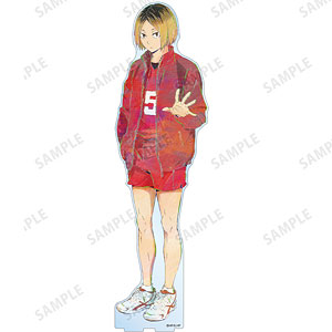 ハイキュー！！ 孤爪研磨 Ani-Art 第5弾 特大アクリルスタンド